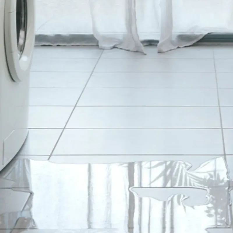 Appliance Leak Cleanup in Highland, MD