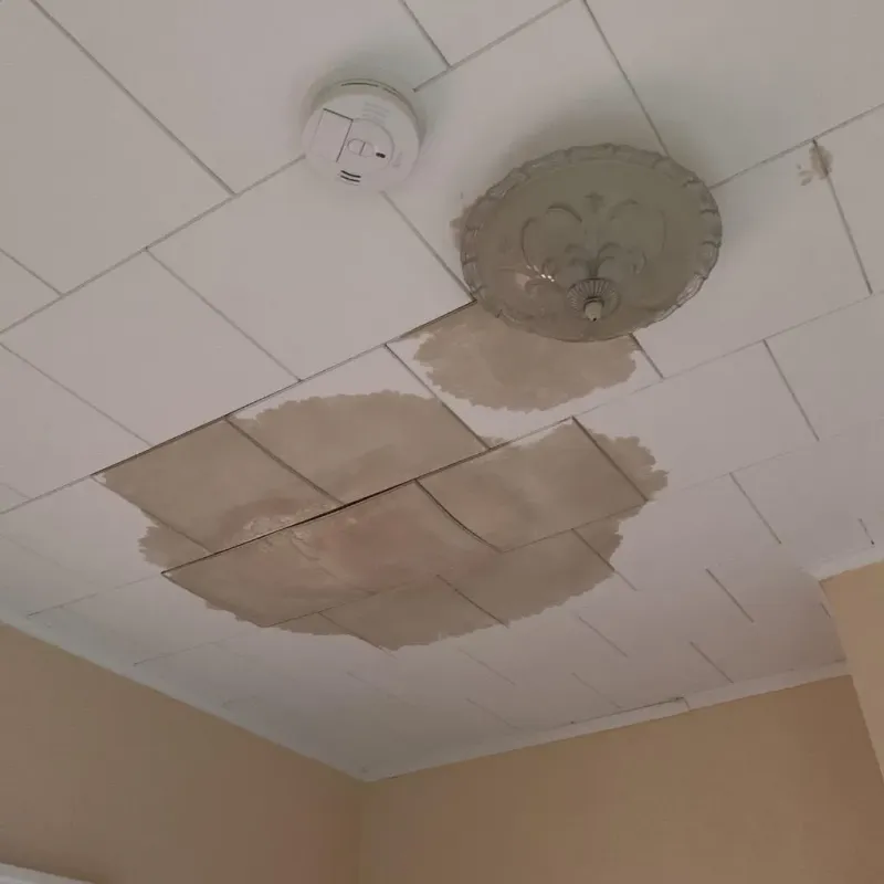 Ceiling Water Damage Repair in Highland, MD